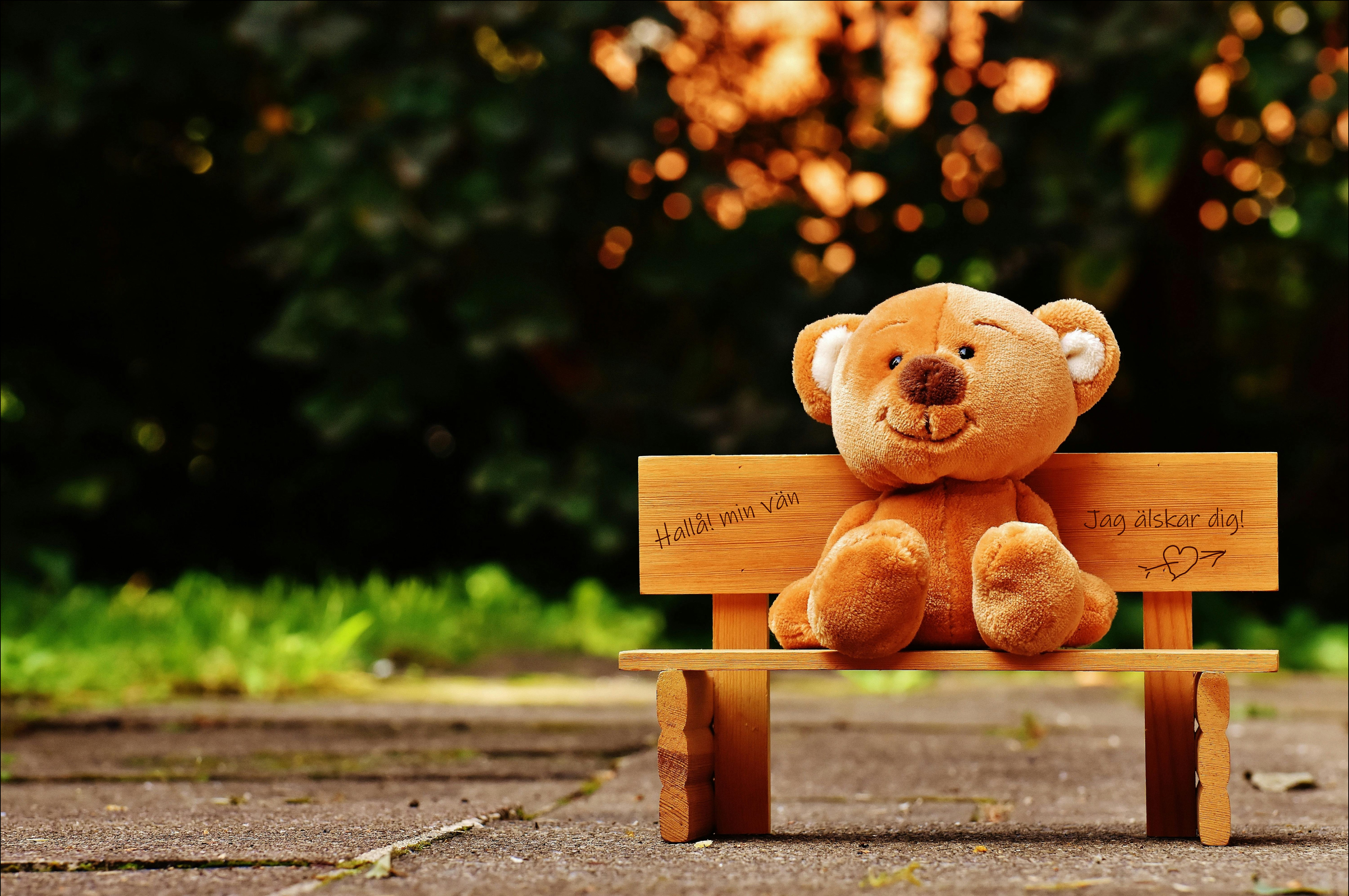 bear